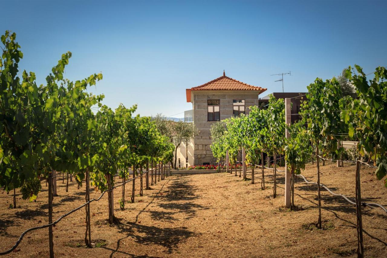 辛方伊什Quinta Do Aido - Winetourism别墅 外观 照片